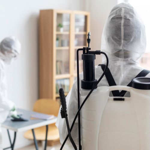 Equipe Super Ozônio realizando desinfecção profissional